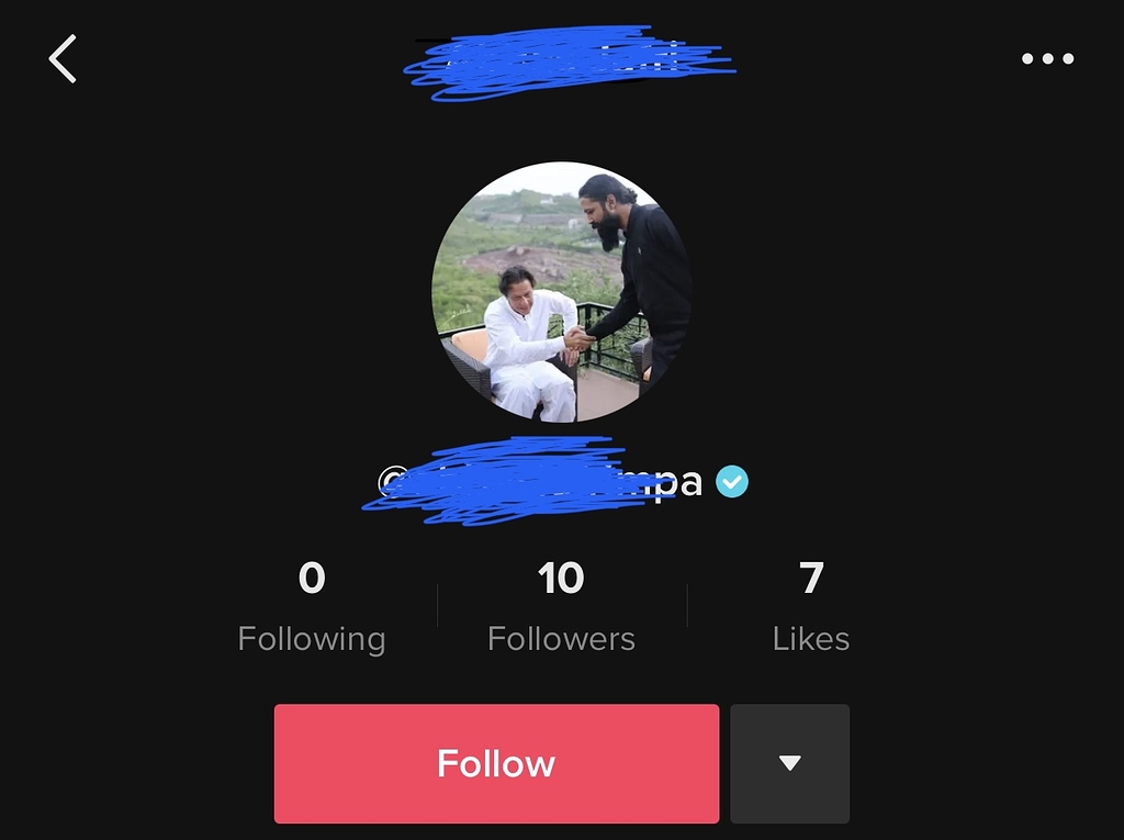 Buy Verified TikTok Accounts for Sale - SwapSocials