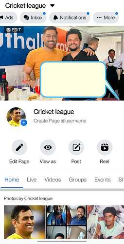 Cricket league img