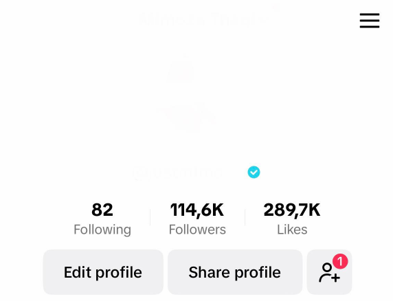 115k Followers Verified Tiktok Account on YOUR USERNAME and NAME ...