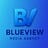 Blueviewmedia.co